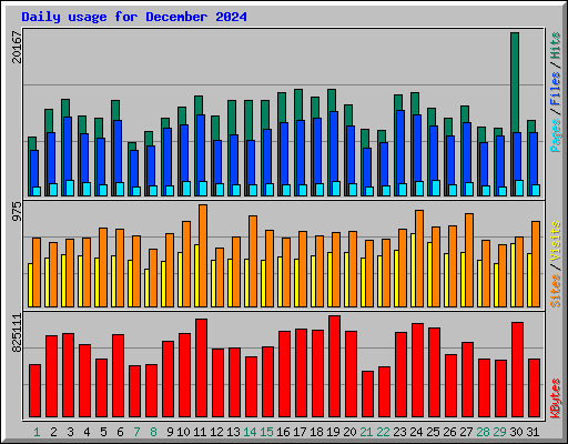 Daily usage for December 2024