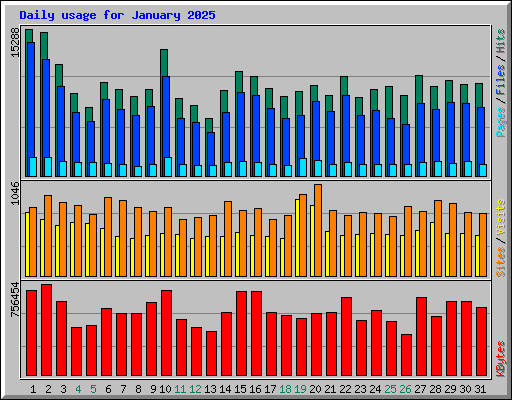 Daily usage for January 2025