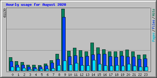 Hourly usage for August 2020