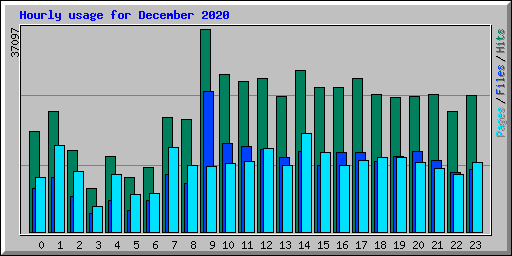 Hourly usage for December 2020