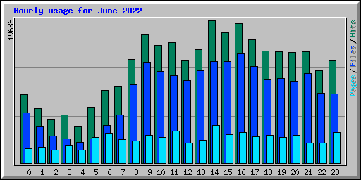 Hourly usage for June 2022