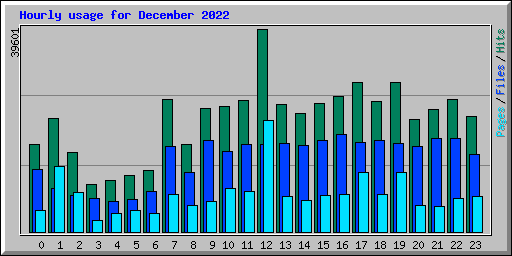 Hourly usage for December 2022