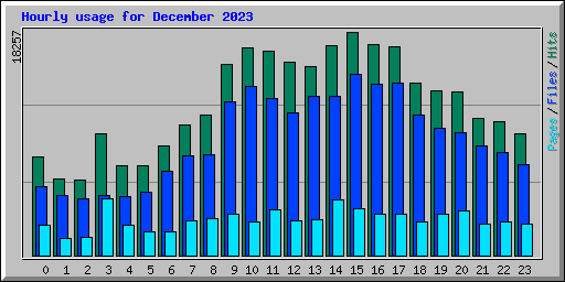 Hourly usage for December 2023