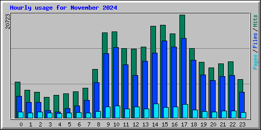 Hourly usage for November 2024