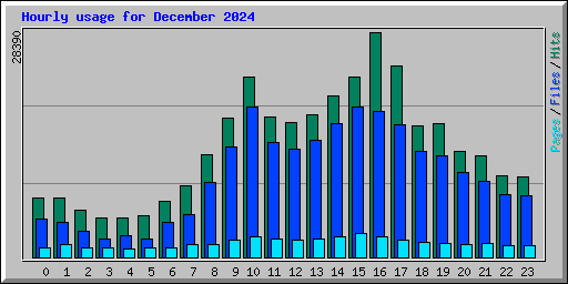 Hourly usage for December 2024