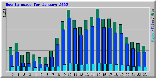 Hourly usage for January 2025