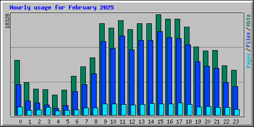 Hourly usage for February 2025