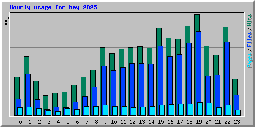 Hourly usage for May 2025