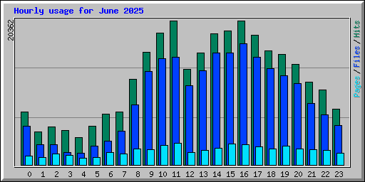 Hourly usage for June 2025